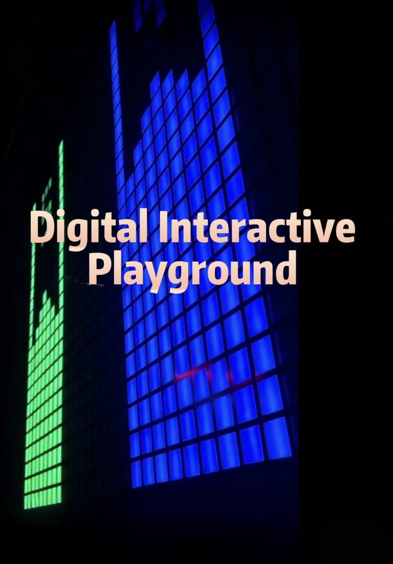 Digital Interactive Playground: The Future of Immersive Entertainment